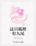 这只狐狸有点凶漫画