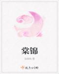 棠锦晋江