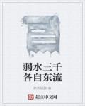 弱水三千前面一句是什么