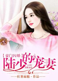 豪门闪婚凌少