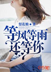 歌曲等风等雨等你
