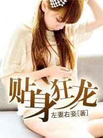贴身狂龙txt