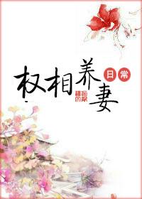 权相养妻日常56章