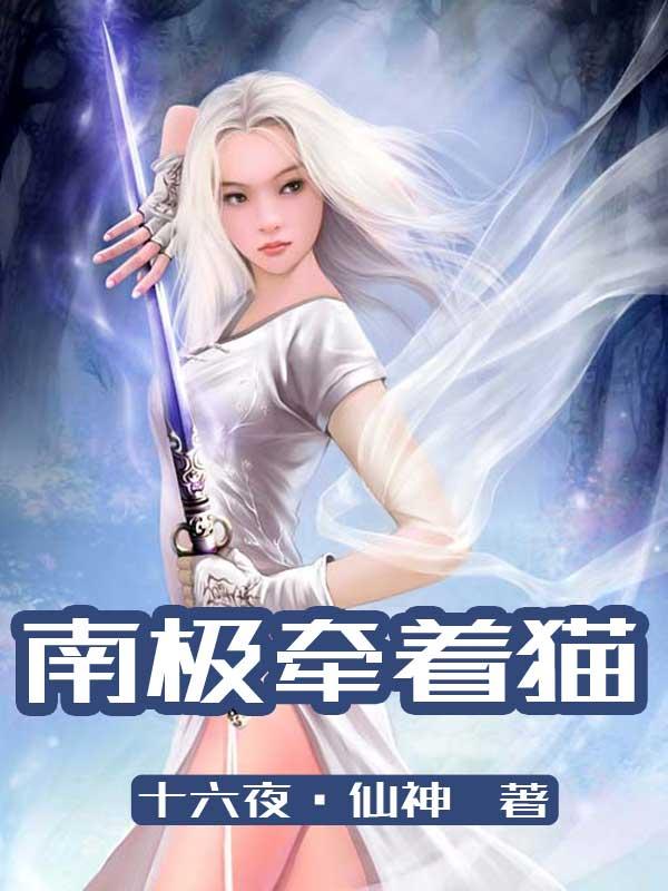 播放南极动物