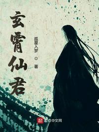 玄霄仙君 起点
