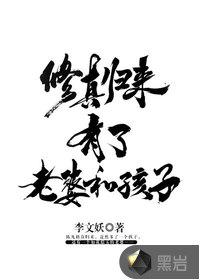 赘婿归来之战神宝爸