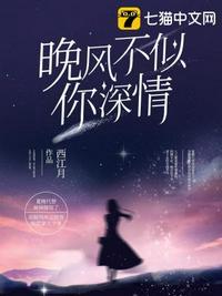 晚风不及你深情在线阅读