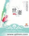 世妻讲的是什么