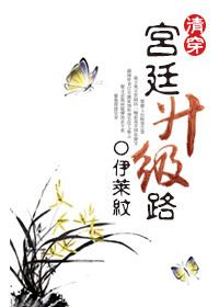 清穿后宫之福孕多