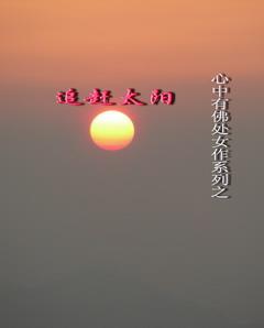 追赶太阳在线阅读