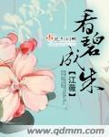 看碧成朱讲的什么