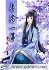 妻高一筹结局