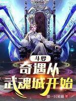 斗罗奇遇从武魂城开始作者那一只星猫