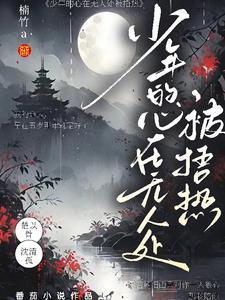 少年心是什么歌