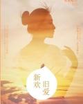 新欢旧爱下一句