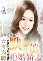 暮少的天价宠妻