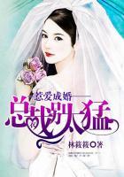 惹爱成婚总裁太凶猛txt