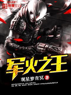 军火之王的武器皮肤
