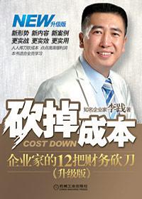 砍掉成本:企业家的12把财务砍刀(升级版)